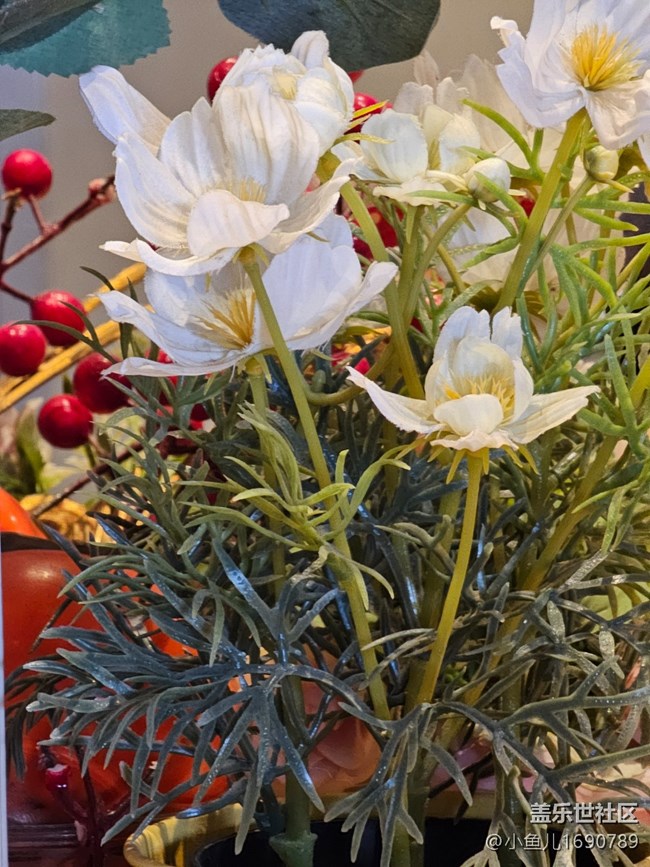 【春日序曲】賞花