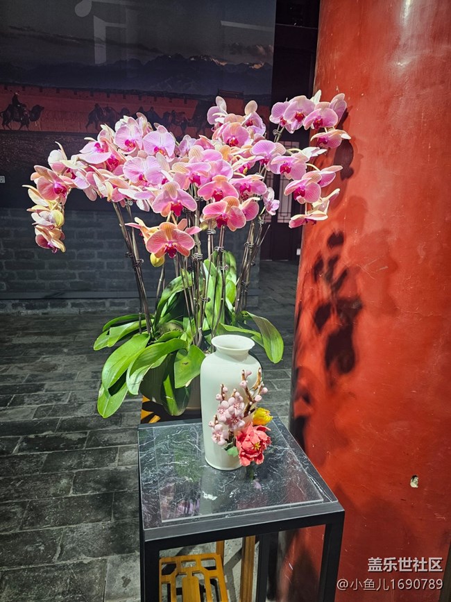 【春日序曲】賞花