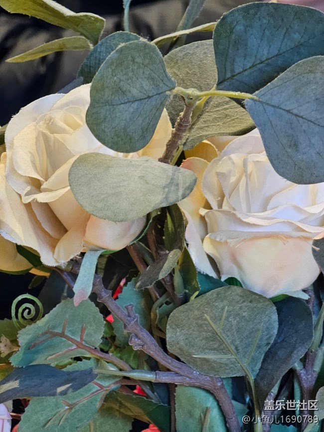 【春日序曲】賞花