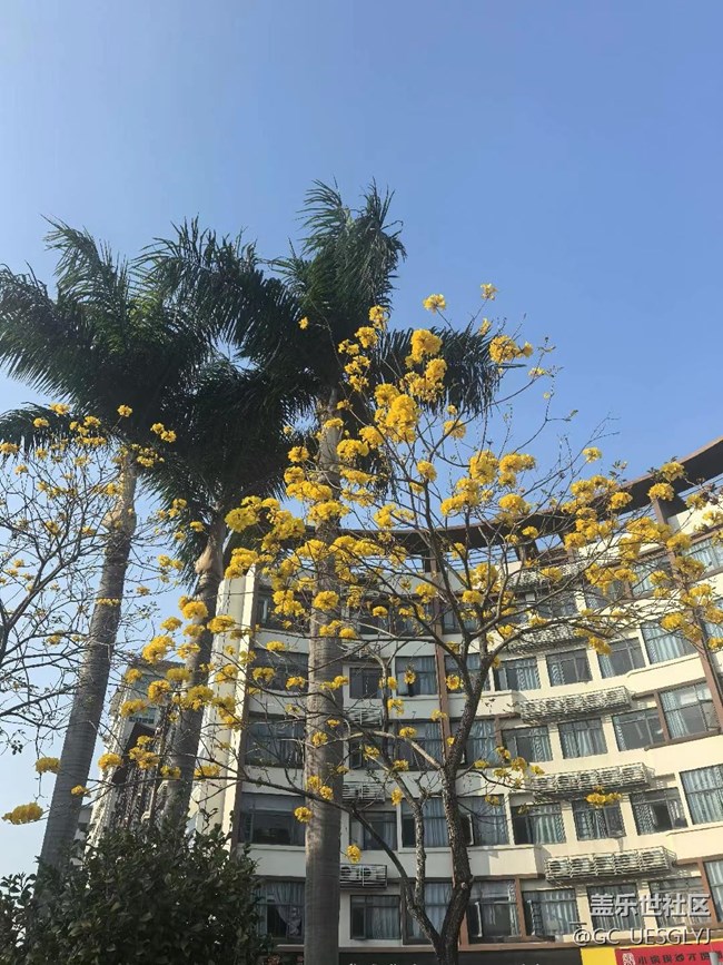 【時間在此刻靜止】煙雨江南，古韻尋蹤