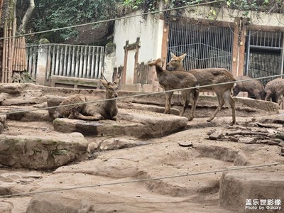 【拍有細(xì)節(jié)】+自然生命