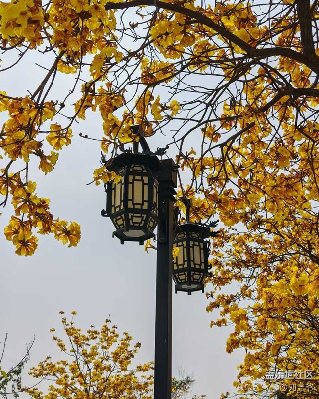 【城市蘇醒】+邂逅春日浪漫