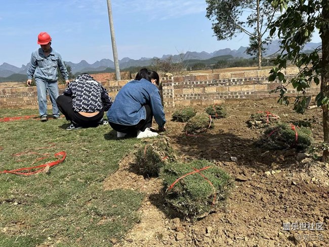 【時(shí)間在此刻靜止】春日植綠，邂逅花開