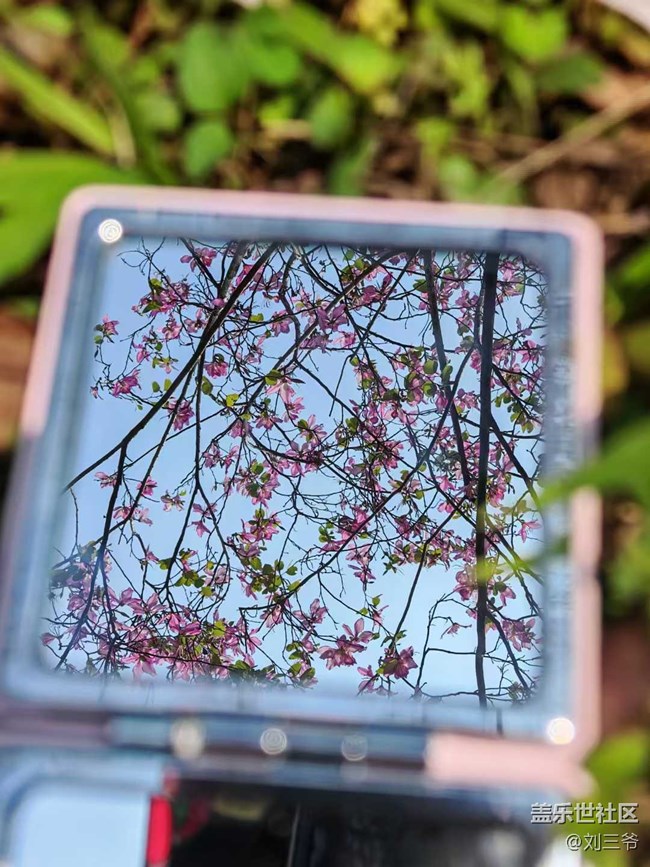 【城市蘇醒】+邂逅春日浪漫