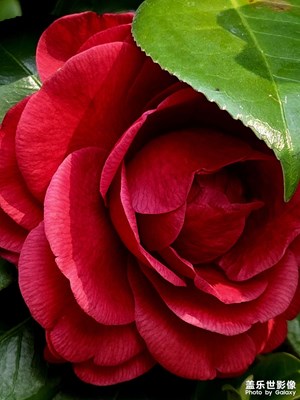 【拍有細(xì)節(jié)】+放大拍就好