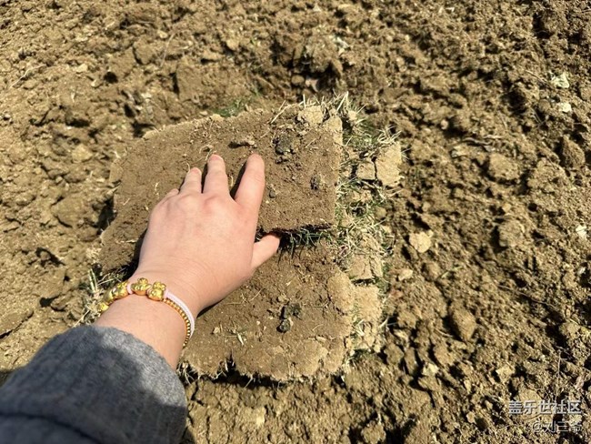 【時(shí)間在此刻靜止】春日植綠，邂逅花開