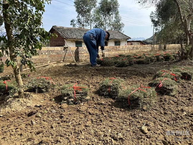 【時(shí)間在此刻靜止】春日植綠，邂逅花開