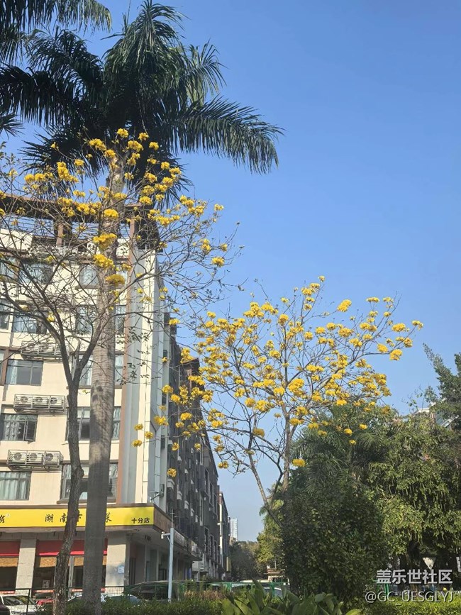 【時間在此刻靜止】煙雨江南，古韻尋蹤