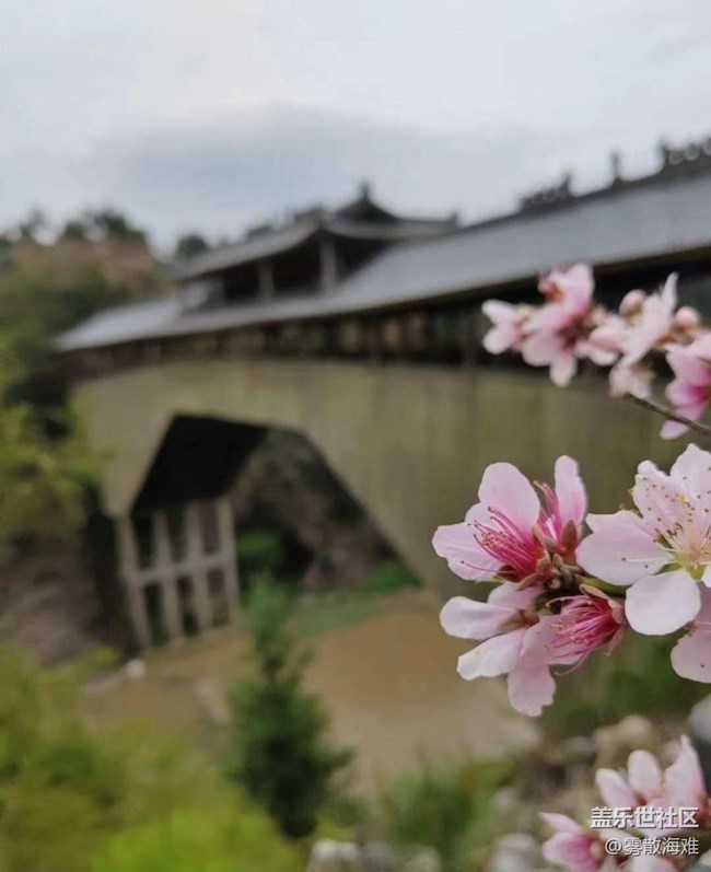 【廣州的花花們】美好春天