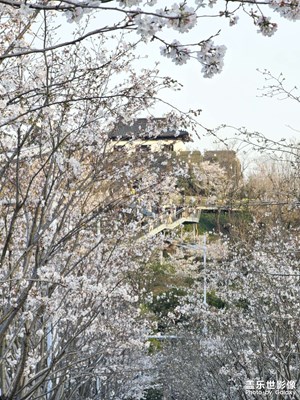 【拍有細(xì)節(jié)】??????