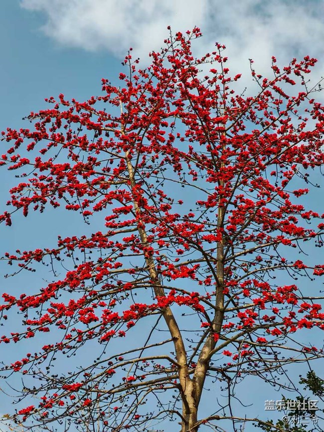 【城市蘇醒】+邂逅春日浪漫