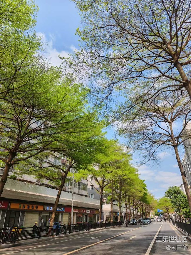 【城市蘇醒】+邂逅春日浪漫