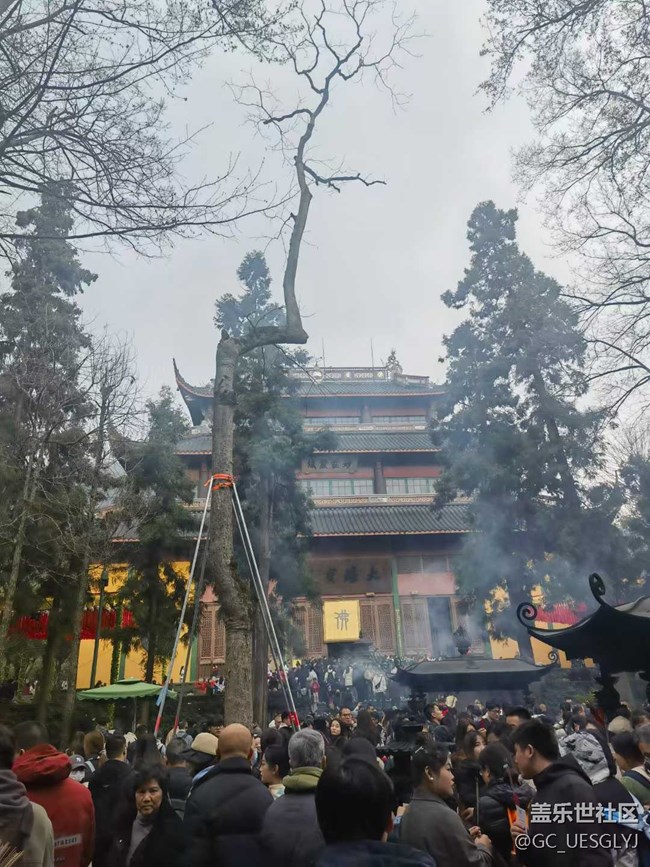 【時間在此刻靜止】煙雨江南，古韻尋蹤