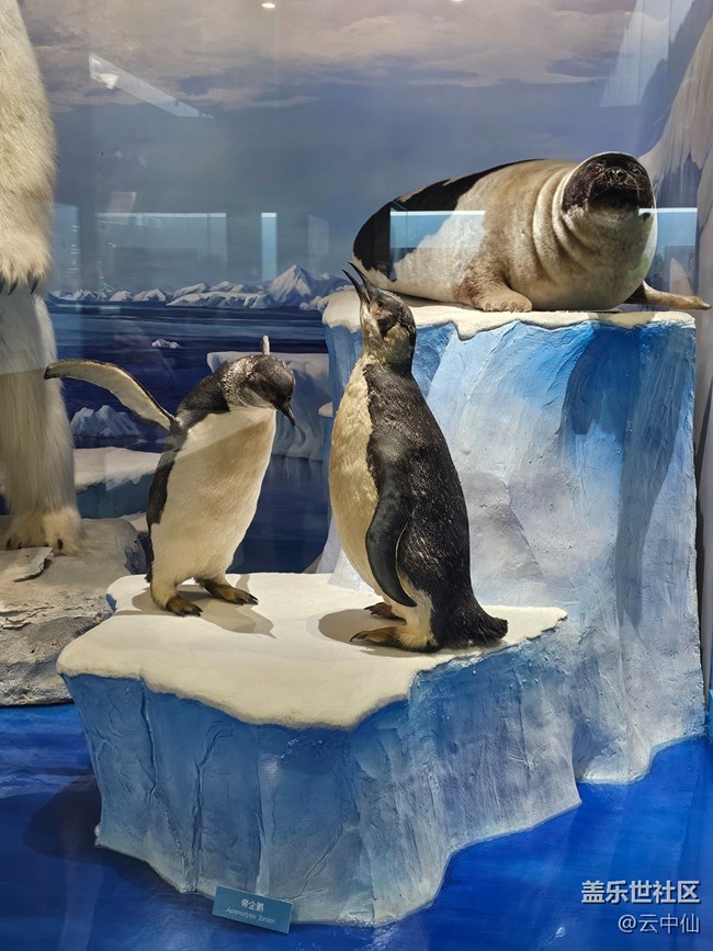 【春日序曲】北極原著民