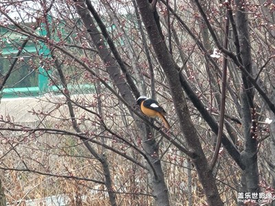 有本事任性的人，也要有本事堅強。