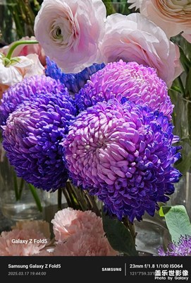 【拍有細(xì)節(jié)】夢(mèng)幻花世界