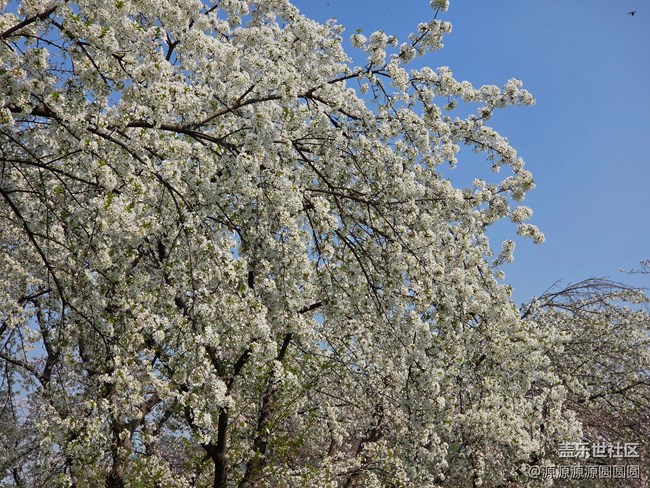 【櫻你而美】武漢星部落活動(dòng)回顧貼 【櫻你而美】武漢星部落活動(dòng)回顧貼