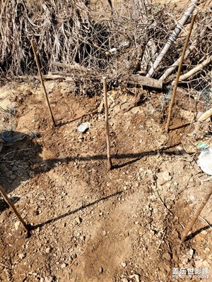 【拍有細節(jié)】+田間