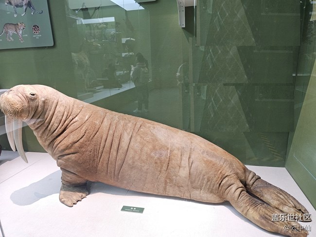 【春日序曲】北極原著民