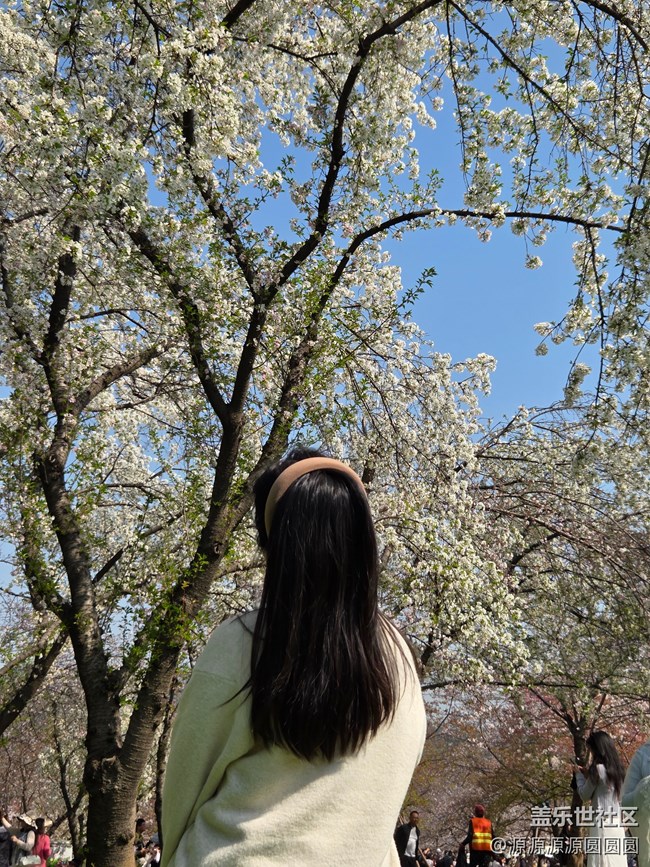 【櫻你而美】武漢星部落活動(dòng)回顧貼 【櫻你而美】武漢星部落活動(dòng)回顧貼