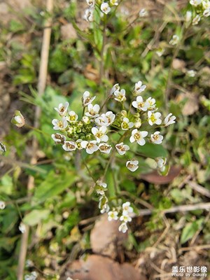 【拍有細(xì)節(jié)】+春天的氣息