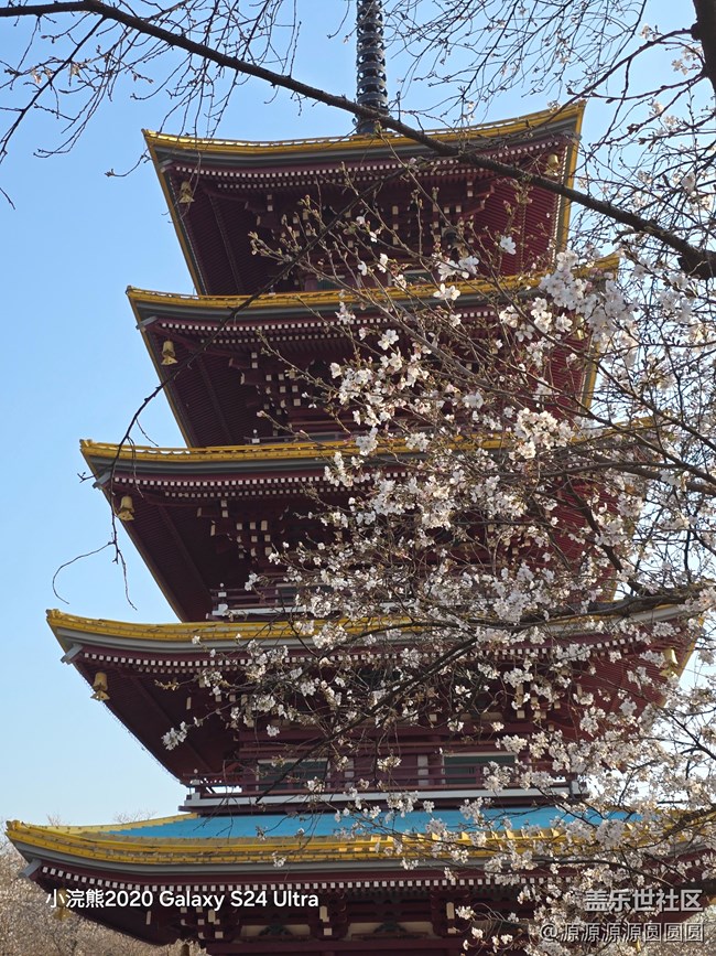 【櫻你而美】武漢星部落活動(dòng)回顧貼 【櫻你而美】武漢星部落活動(dòng)回顧貼