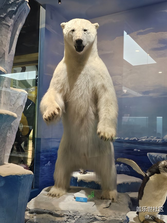 【春日序曲】北極原著民