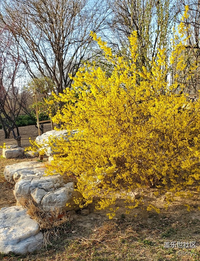 #煙花三月——花兒初開