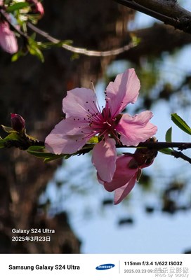 【拍有細(xì)節(jié)】公園里的萬紫千紅