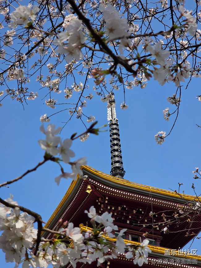 【櫻你而美】武漢星部落活動(dòng)回顧貼 【櫻你而美】武漢星部落活動(dòng)回顧貼