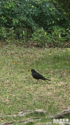 【拍有細(xì)節(jié)】+留心美景