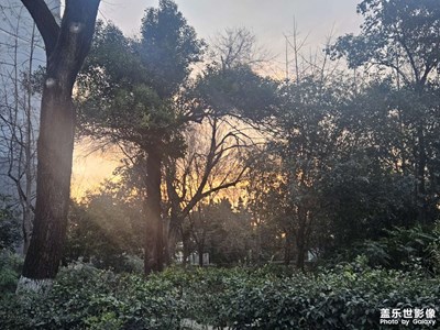 【春之夜】最是夕陽無限好