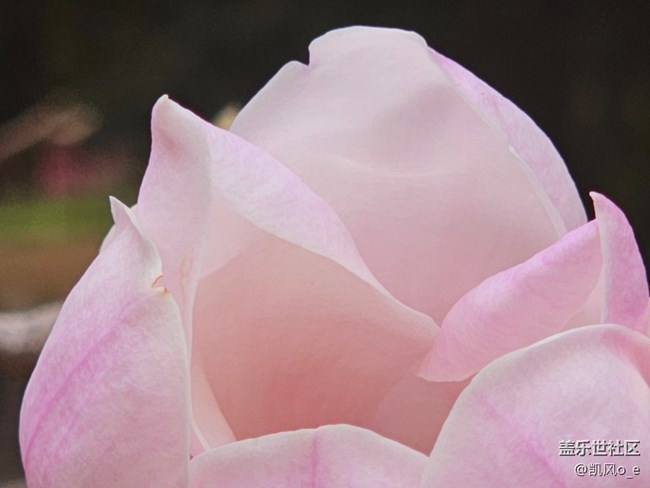 廣州星部落線下攝影活動回顧貼 廣州星部落線下攝影活動回顧貼