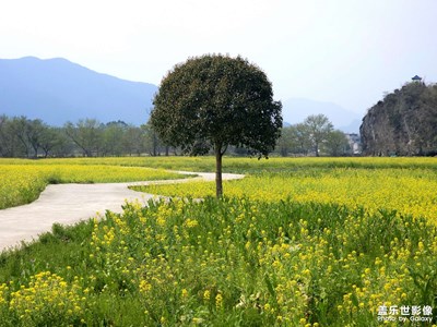 下鄉(xiāng)感受春的氣息