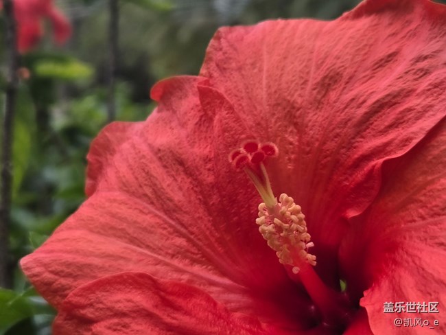 廣州星部落線下攝影活動回顧貼 廣州星部落線下攝影活動回顧貼