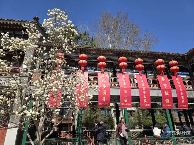 【春日序曲】春意未盡 百合花開