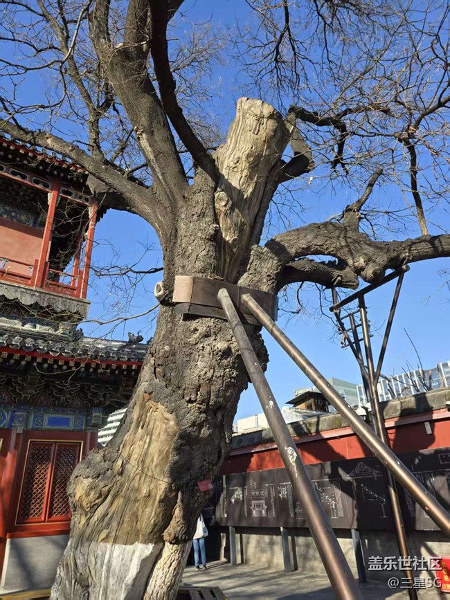 【春日序曲】古建賞析