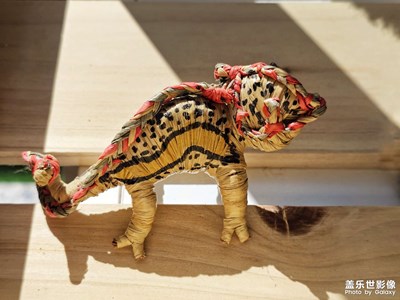 【拍有細(xì)節(jié)】色彩與細(xì)節(jié)之美