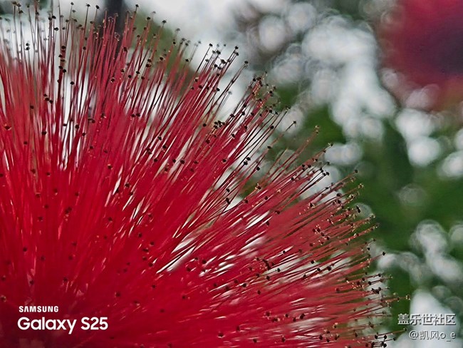 廣州星部落線下攝影活動回顧貼 廣州星部落線下攝影活動回顧貼