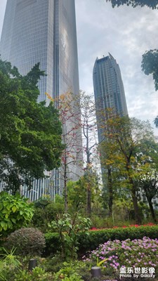 【拍有細(xì)節(jié)】+城市花園