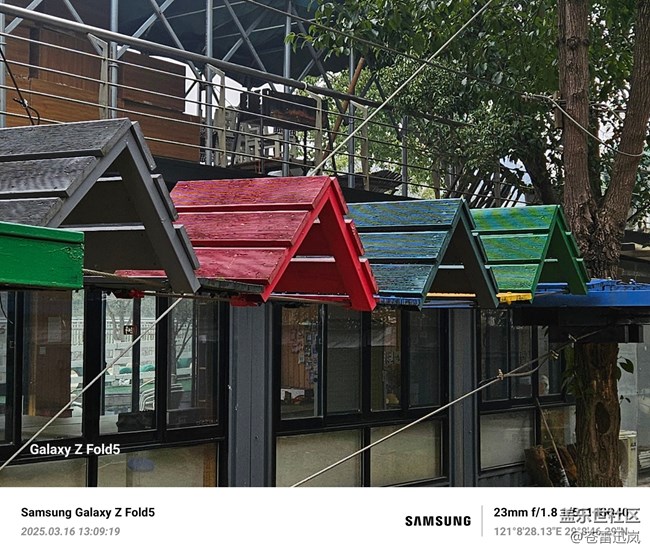 【春天的第一次野餐】為我們寧波星部落扛大旗