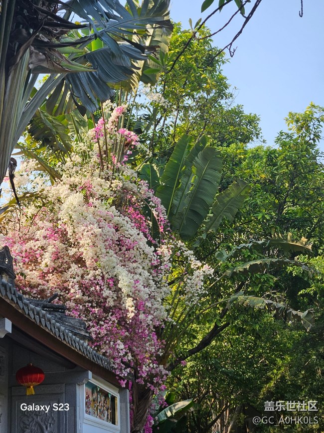 【活動回顧】園博園