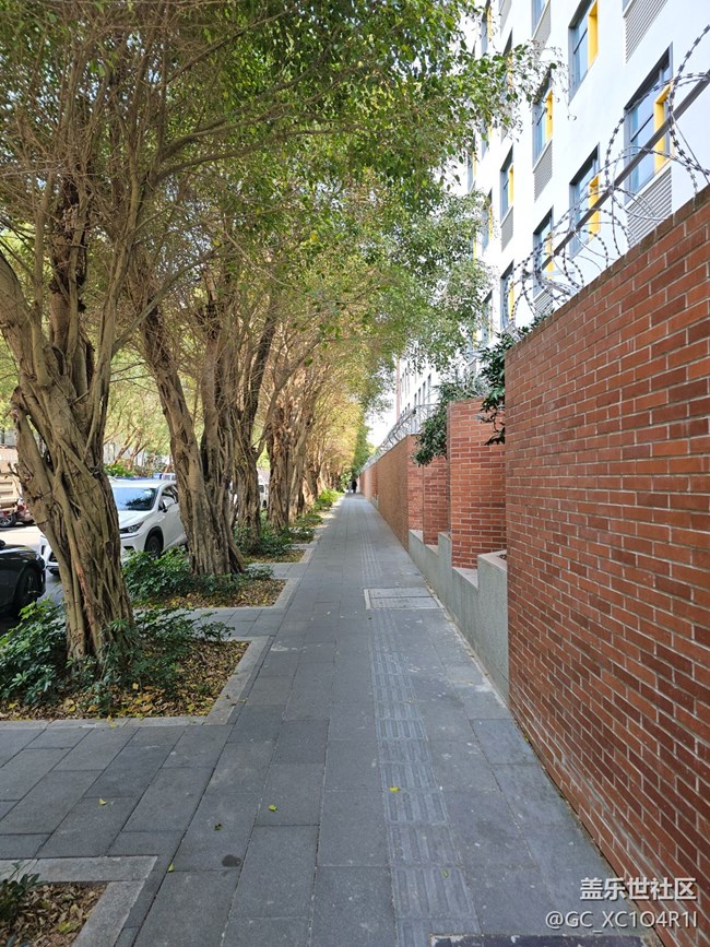 【春暖蓉城 定格美好】徒步