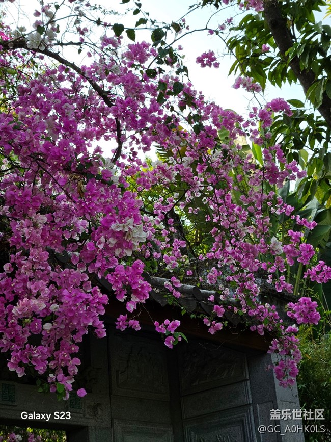 【活動回顧】園博園