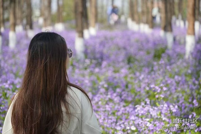 【廣州的花花們】花海