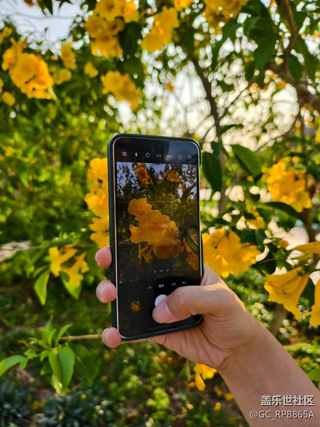 【活動回顧】園博園