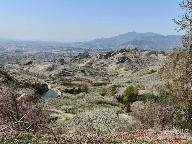 【廣州的花花們】梨花開(kāi)