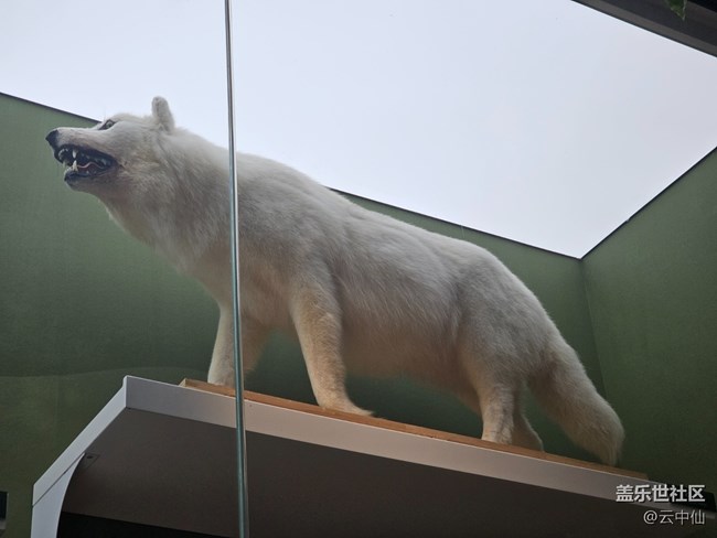 【春日序曲】生存