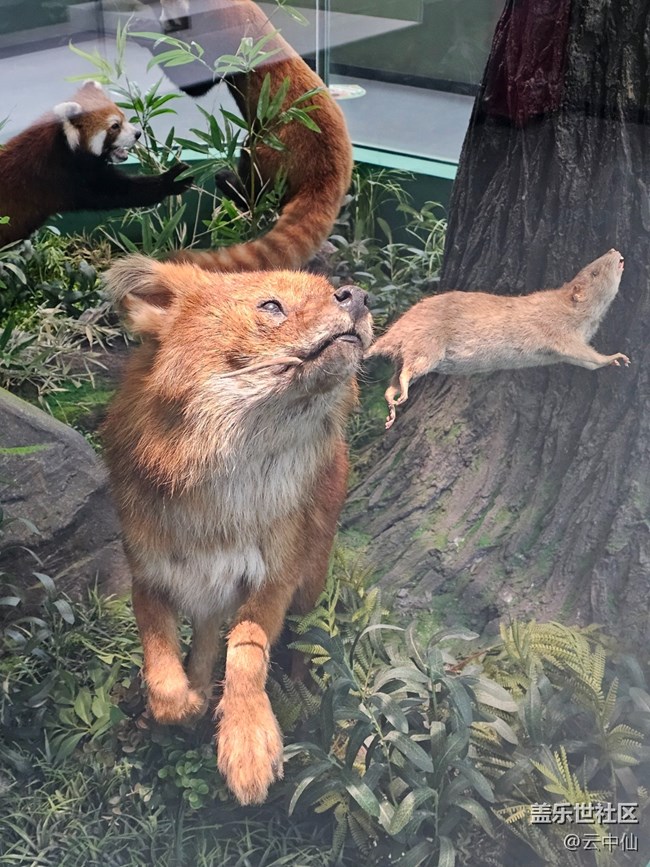 【春日序曲】生存