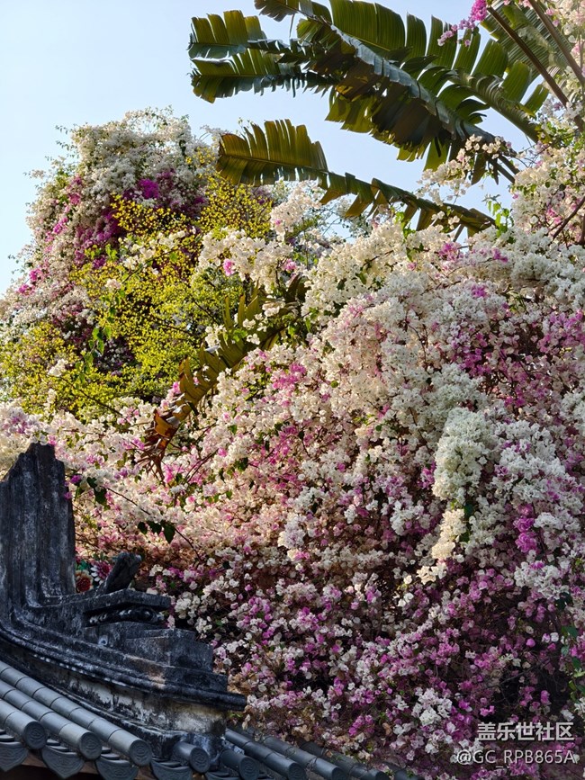 【活動回顧】園博園